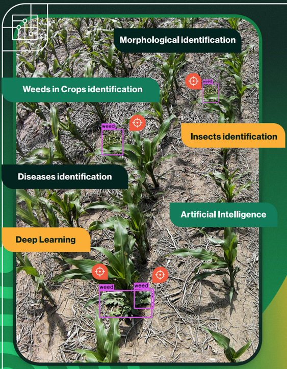 Deepagro